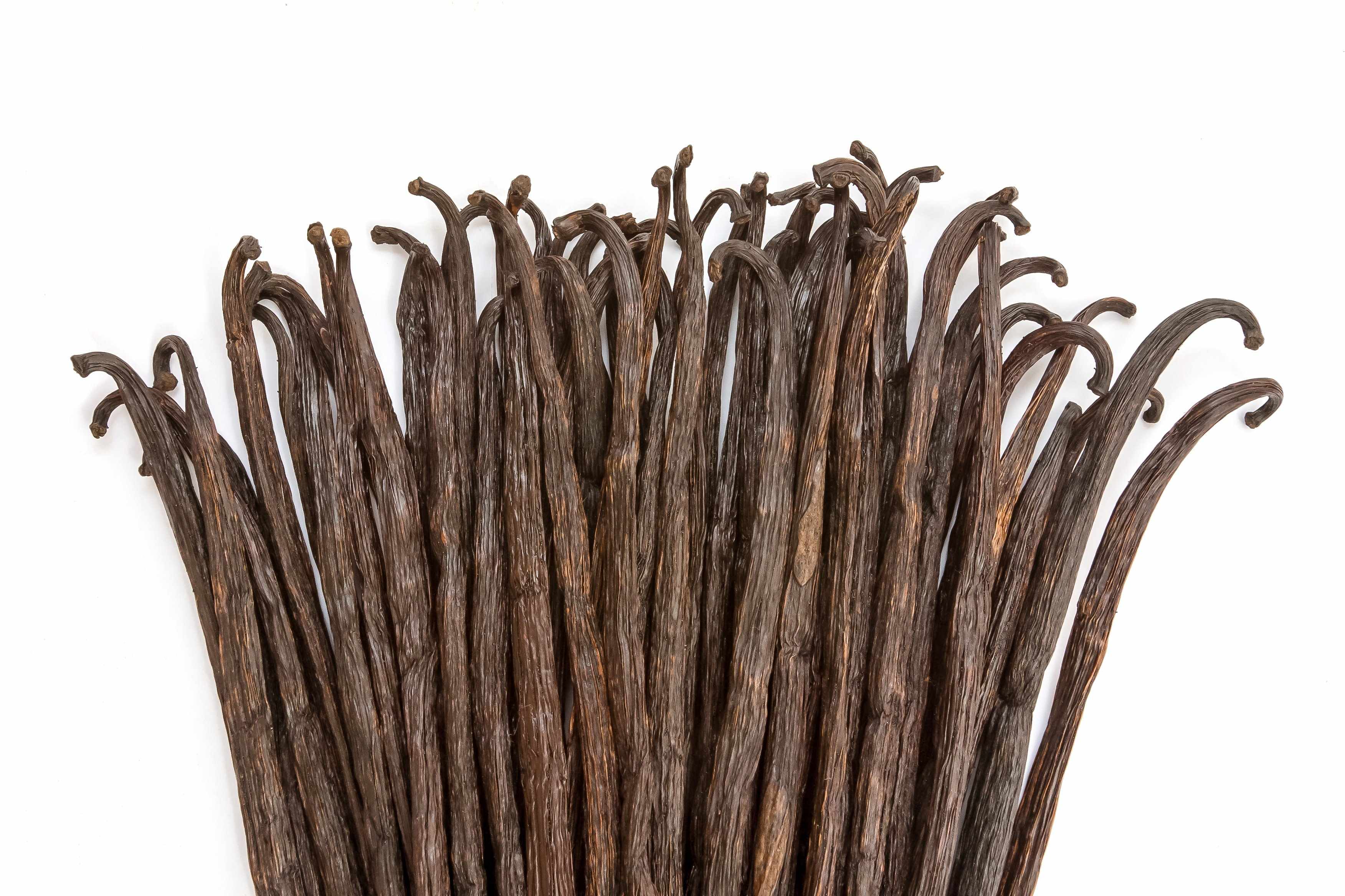  Madagascar Vanilla Beans  Whole Grade B Pods for Extract 