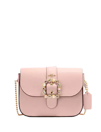 Coach Gemma Crossbody With Jeweled Buckle | Brixton Baker