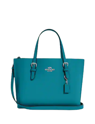 Coach Mollie Tote 25 | Brixton Baker