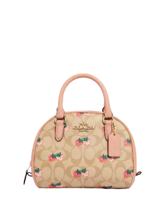 Coach Sydney Satchel In Signature Canvas With Strawberry Print | Brixton  Baker