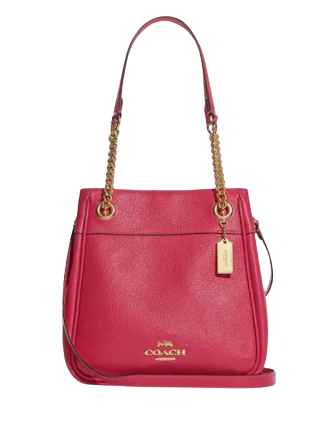 Coach Cammie Chain Bucket Bag | Brixton Baker