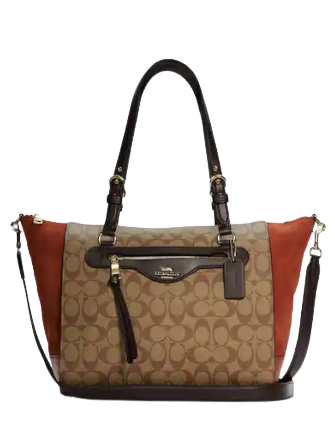 Coach Kleo Carryall In Signature Canvas | Brixton Baker