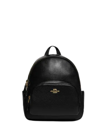 Coach Mini Court Backpack In Signature Canvas Brixton Baker