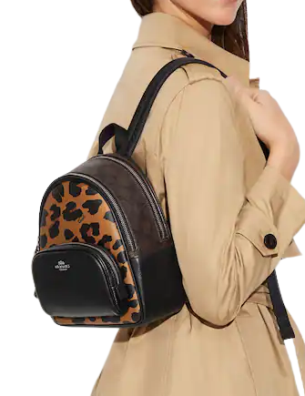 Coach Mini Court Backpack In Signature Canvas With Leopard Print ...