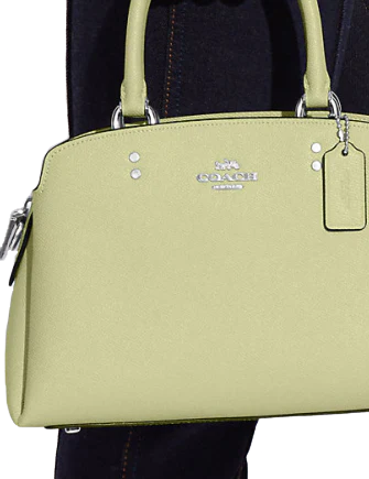 Coach Mini Lillie Carryall | Brixton Baker