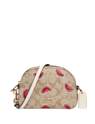 coach watermelon purse