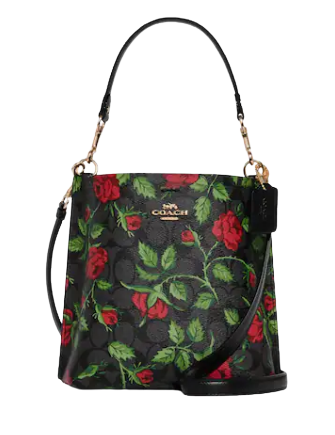 Coach Mollie Bucket Bag 22 In Signature Canvas With Fairytale Rose Print |  Brixton Baker