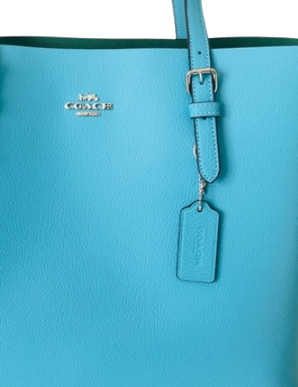 princess in the frog coach purse