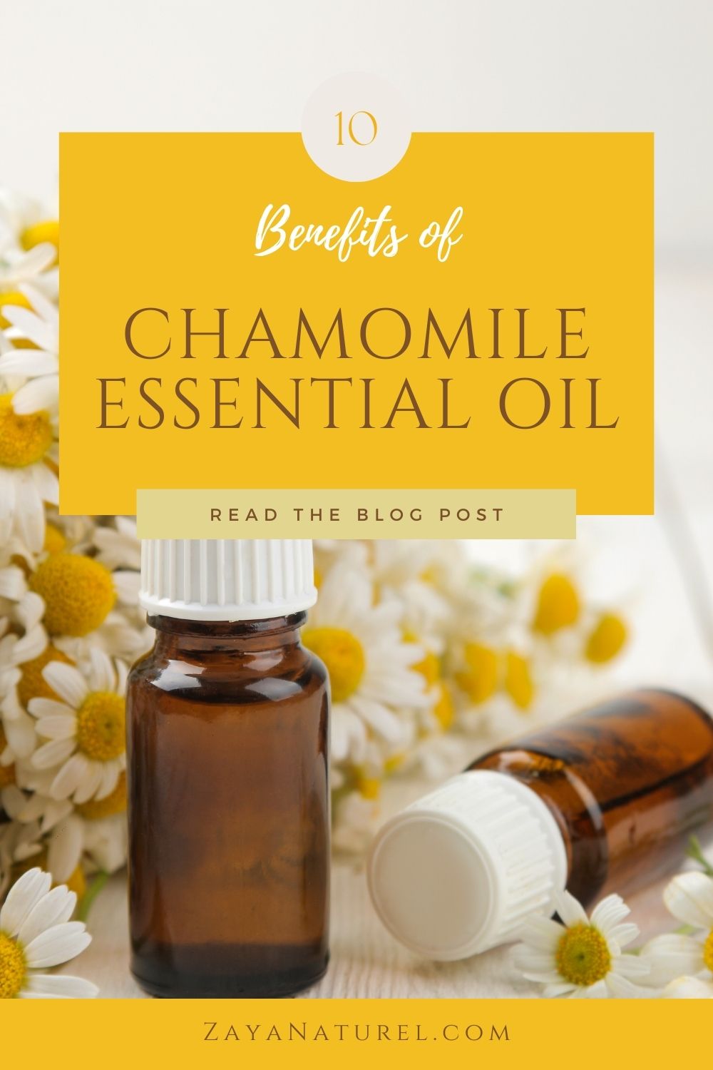 chamomile pintrest pin