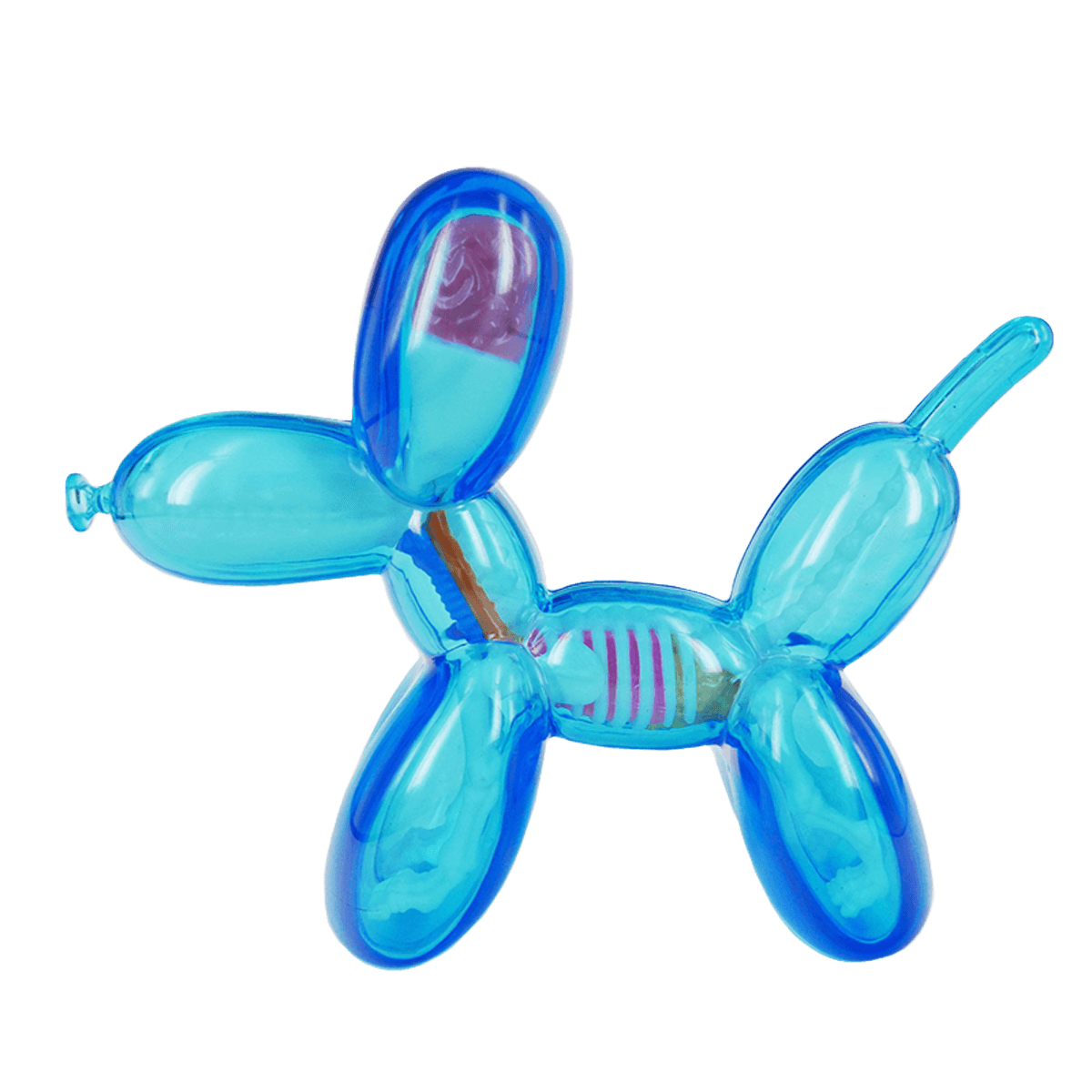 Baby Clear Balloon Dog Funny Anatomy
