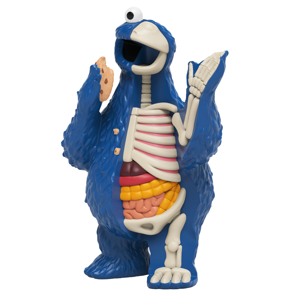 XXRAY Plus Sesame Street Anatomical - その他