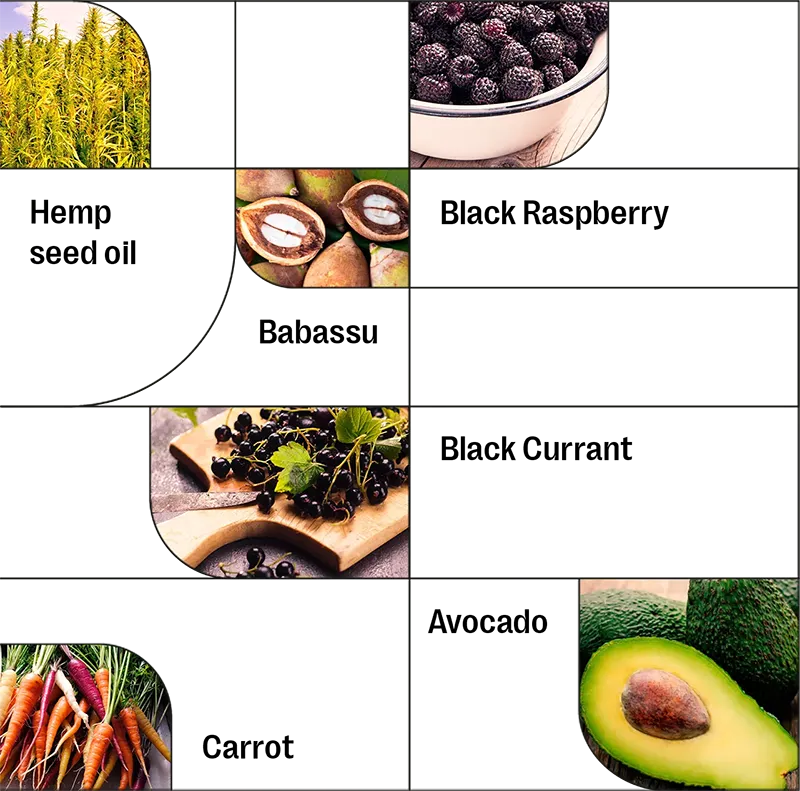 grid1-ingredients.webp__PID:6f2cfa57-f061-4540-823a-ffcae43bde39