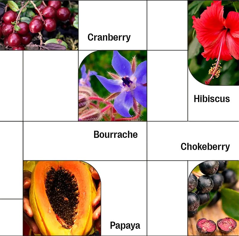 grid3-ingredients .webp__PID:f0612540-023a-4fca-a43b-de39e063510d