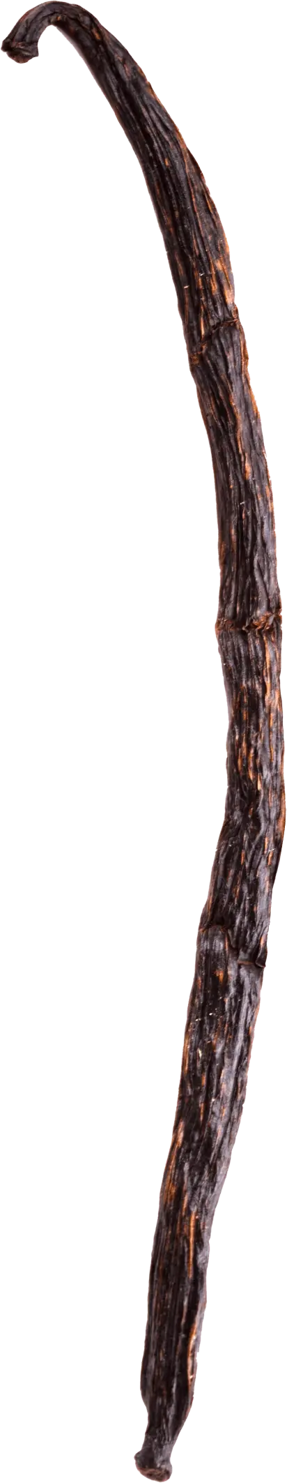 Decorative asset 4
