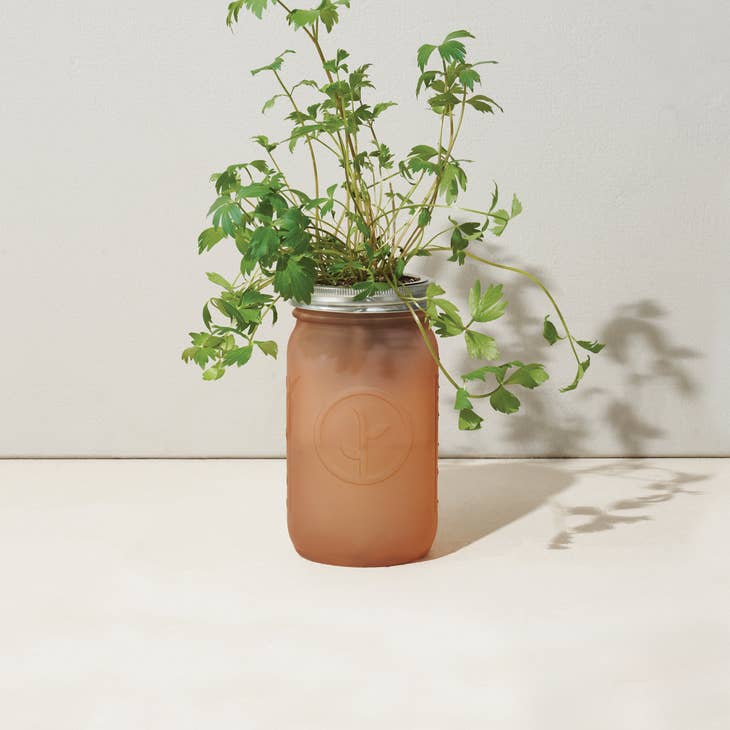 Garden Jar - Parsley