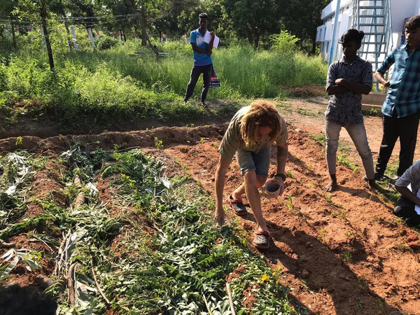 Kane tending to farmland plants