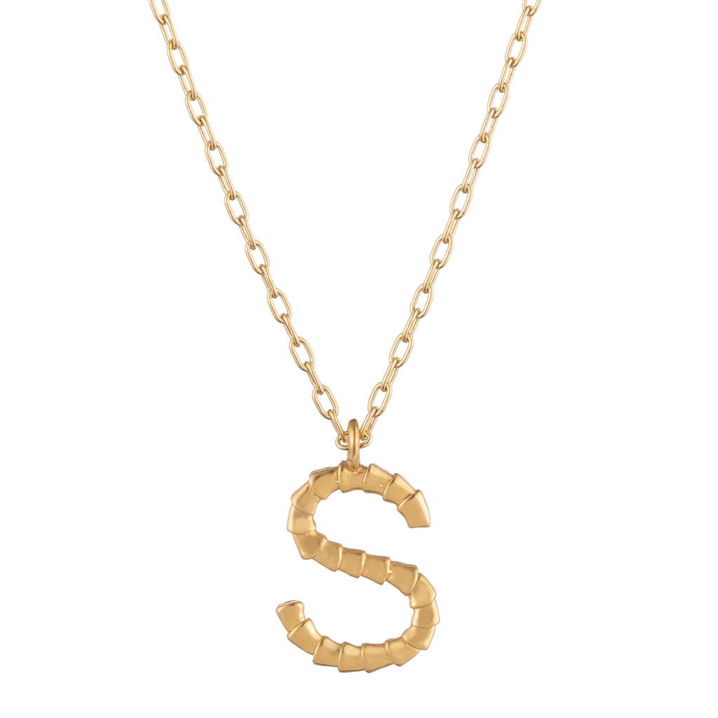 Isiro Gold Vertebrae Letter Charm Necklace - Dalasini