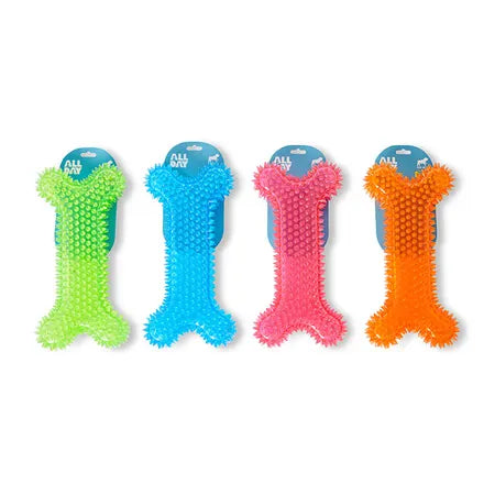 All Day Spiny Bone With Squeaker Dog Toy Assorted
