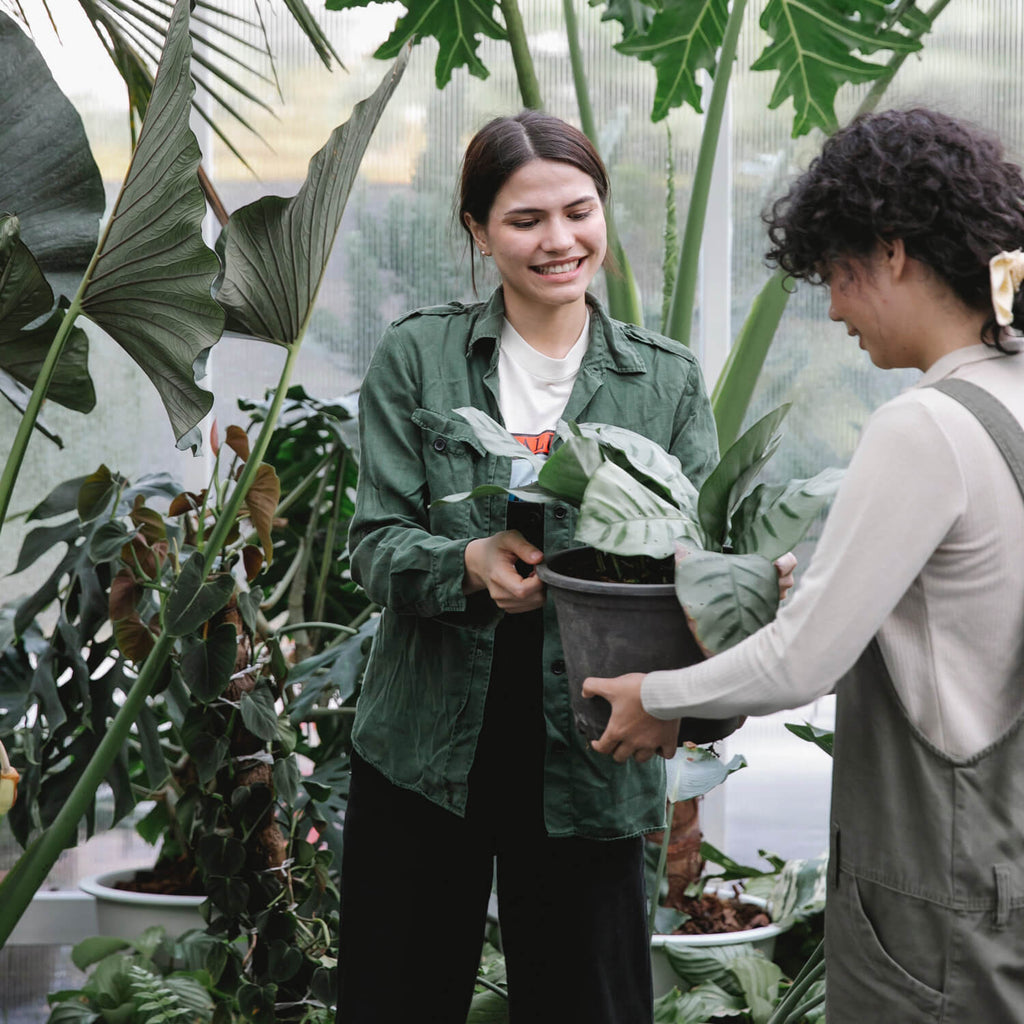 A girl helping another choose a plant