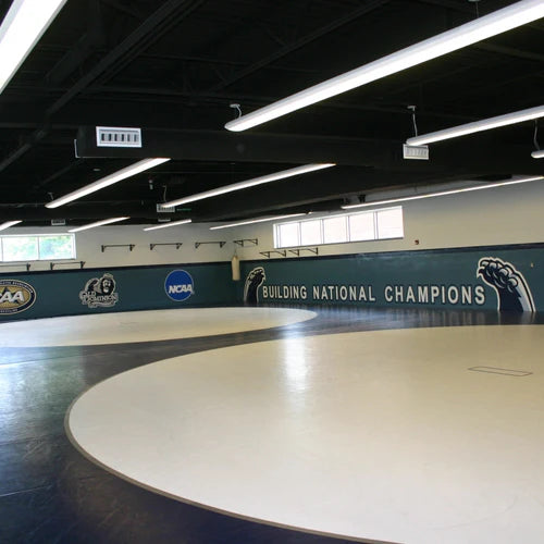 Old Dominion Classic Wrestling Mat