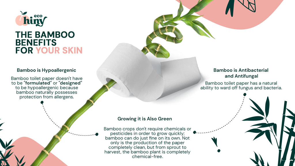 Is Bamboo Toilet Paper Better for Sensitive Areas of Our Skin?