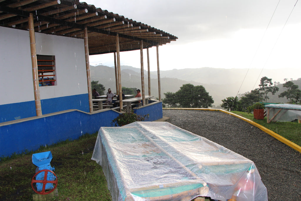 Sudden rainstorms meant babysitting the drying tables and rushing out with plastic a couple times per day.