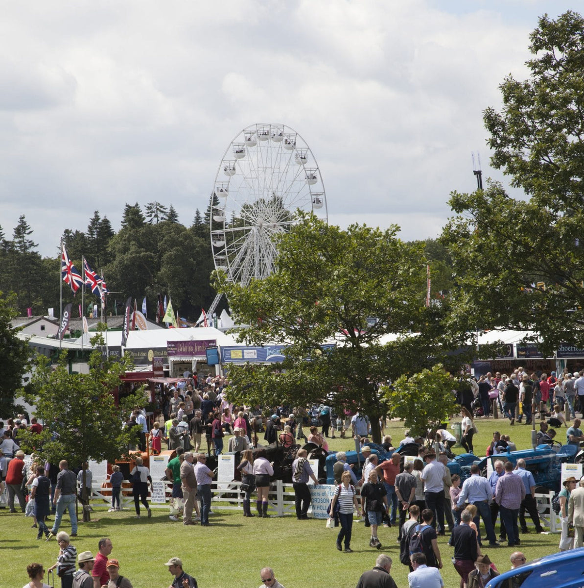 5 of Yorkshire's best Country Shows - Rebecca Pitcher