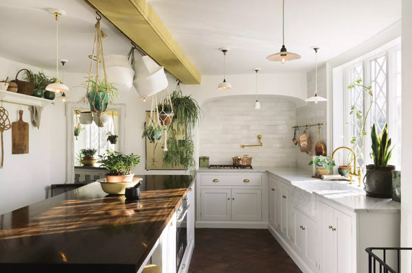 Biophilic design kitchen