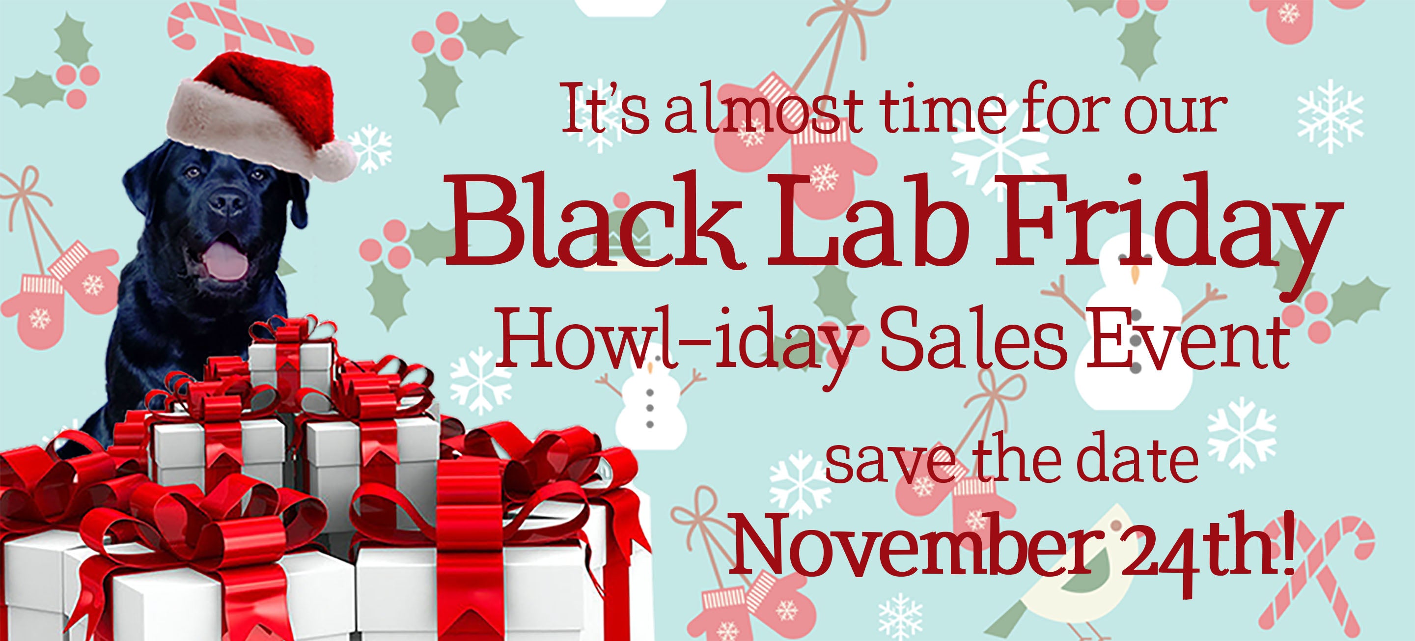 Black Lab Friday Sale Happens November 24