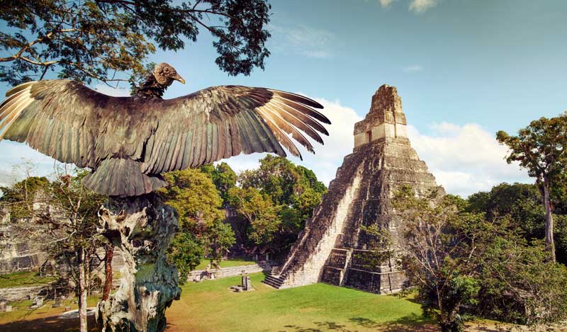 Tikal National Park, Guatemala