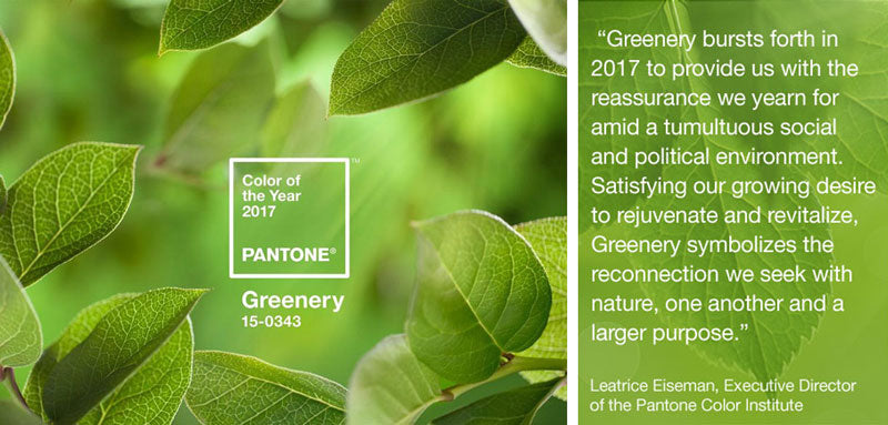 Pantone Color of the Year 2017