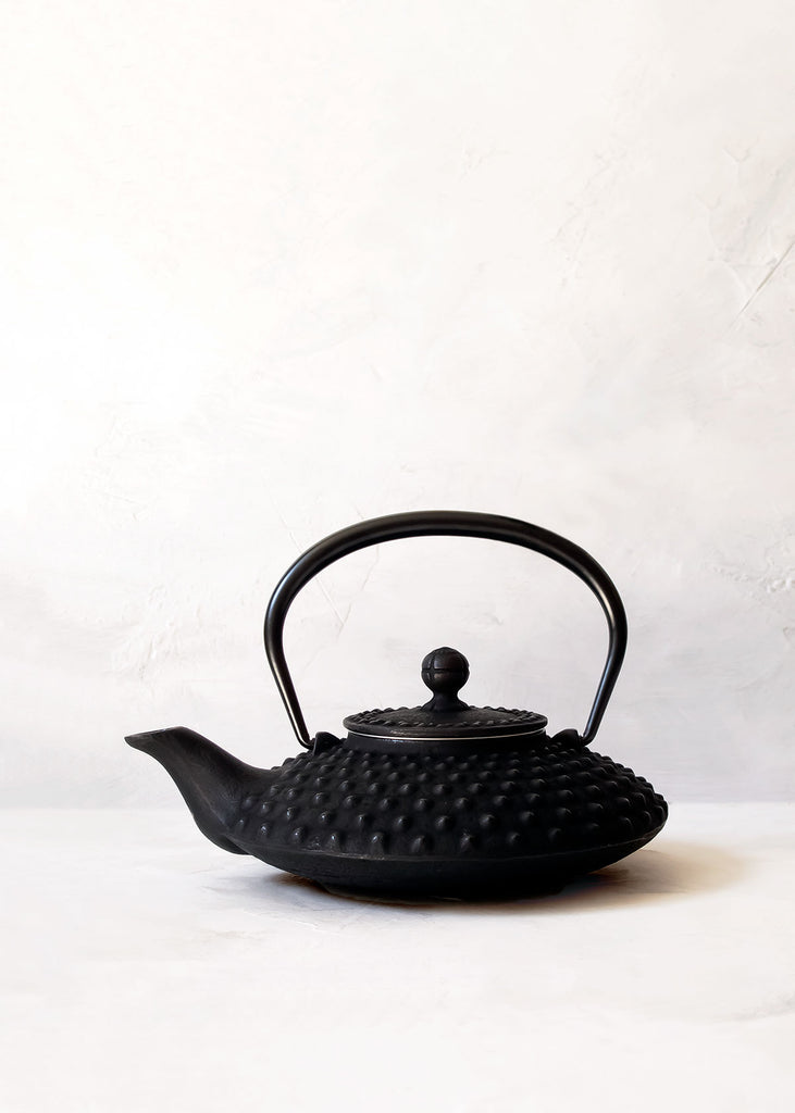 Just gifted me my first teapot and went for a cast iron Iwachu and some  nice blue cups : r/tea