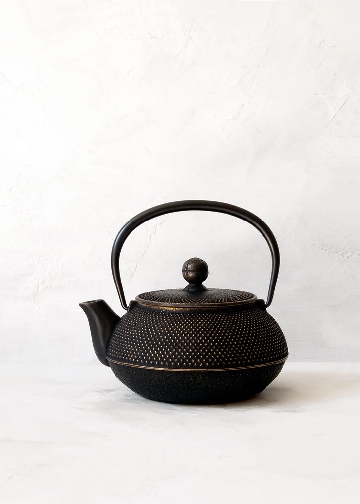 Iwachu Japanese Cast Iron Tea Cup – Minzuu