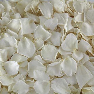 Rose Petals Freeze Dried (All Colors) 1 box - 240 ounces – Beckwourth Blooms