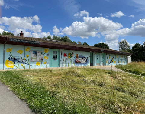 A mural featuring plants and animals from Anglers Country Park on the Visitors Centre by Beth Morgan Art