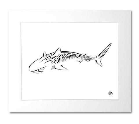 tiger shark drawings