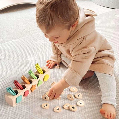 Montessori Wooden Counting Sticks Match Puzzle