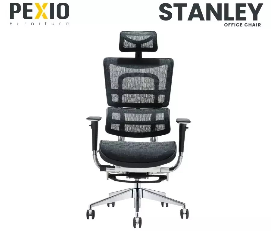 Stanley Ergonomic Chair