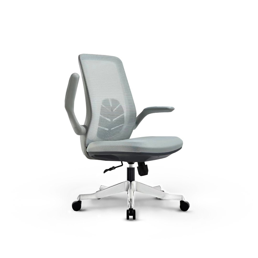 Linden Ergonomic Chair