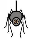 Symbol for Incy Wincy (Itsy Bitsy) Spider