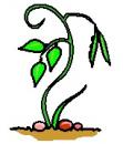 Symbol for Jack and the Beanstalk