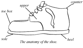 An anatomy of a toddler's shoe