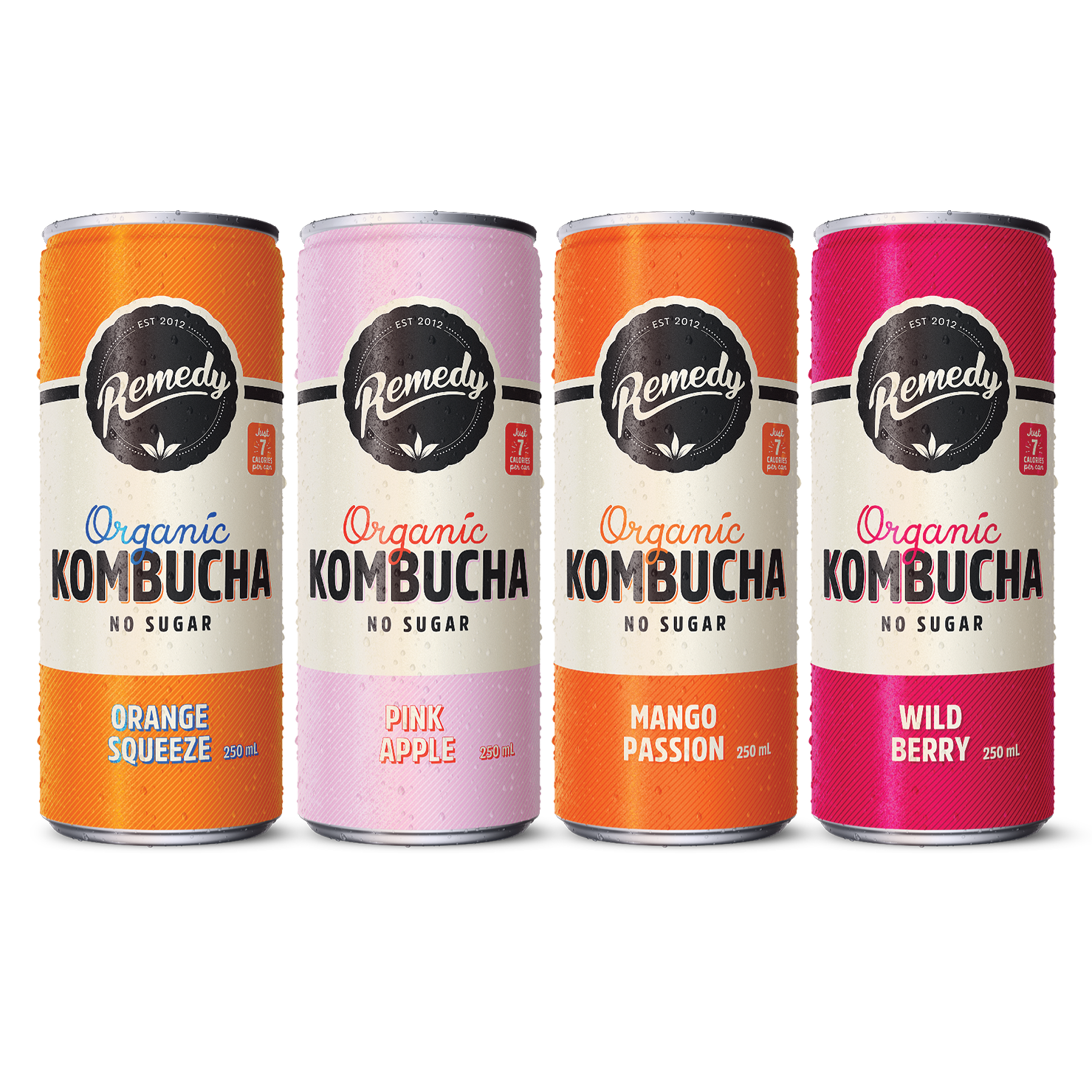 Remedy Kombucha Fruity Faves