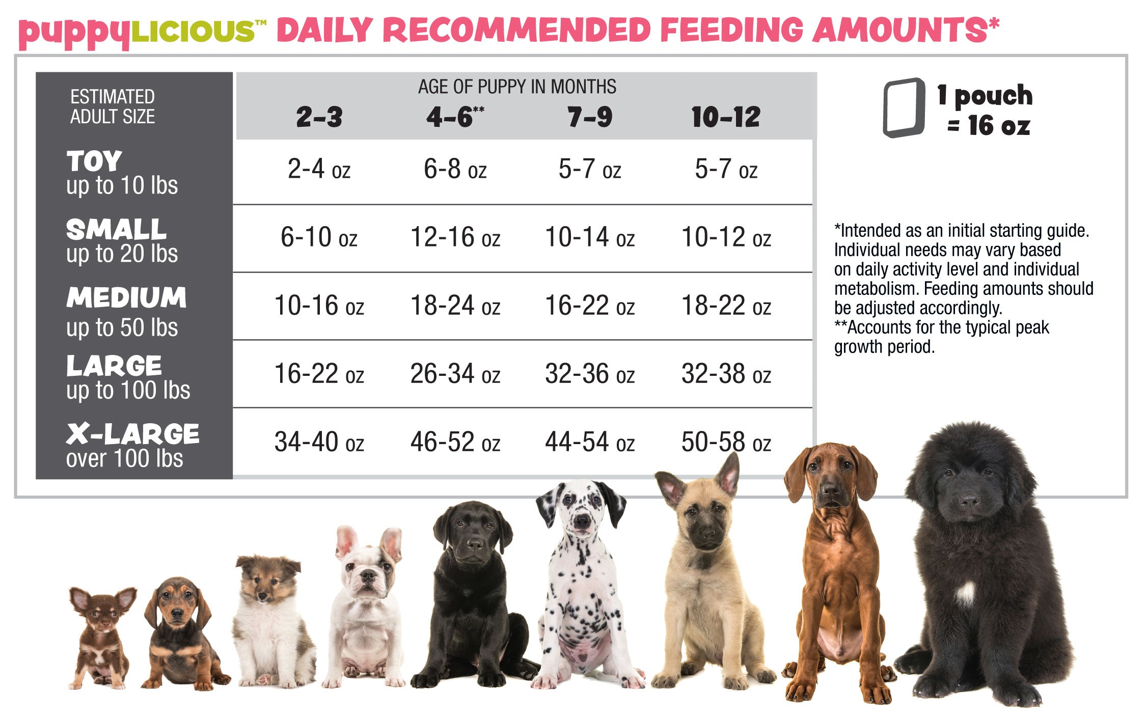 How Much Raw Food Should I Feed My Dog? | Iron Will Raw - Iron Will Raw Inc.