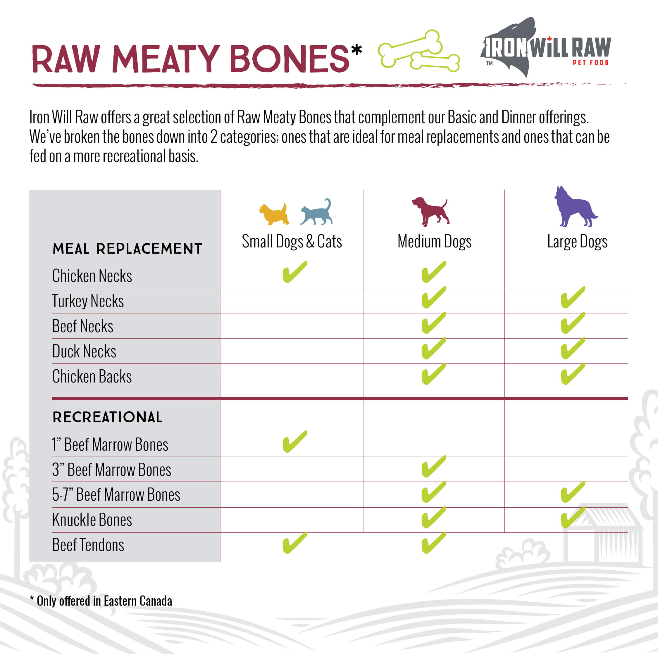 Transition to Raw Dog Food | Iron Will Raw Inc.