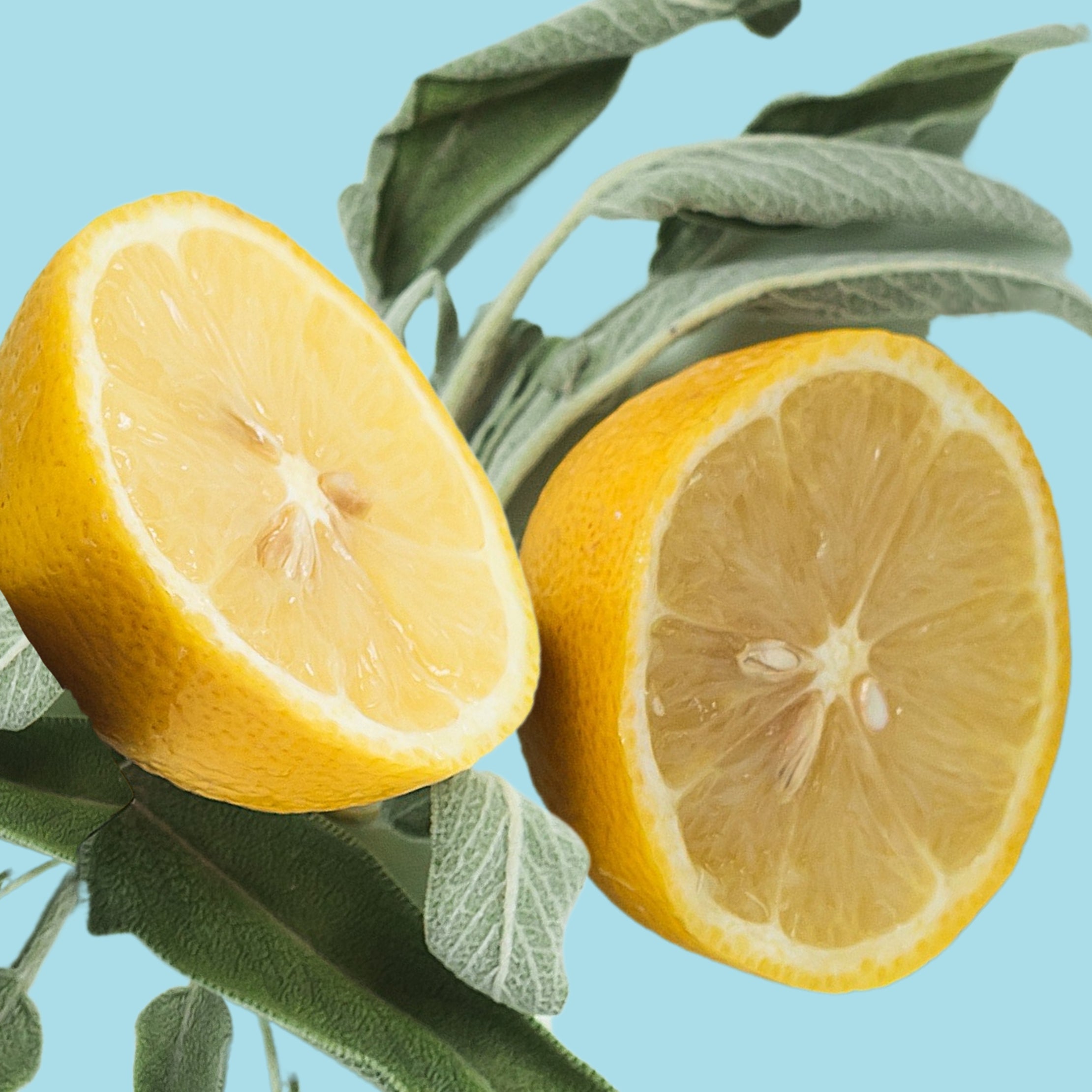 Two lemon halves and green leaves against a light blue background.