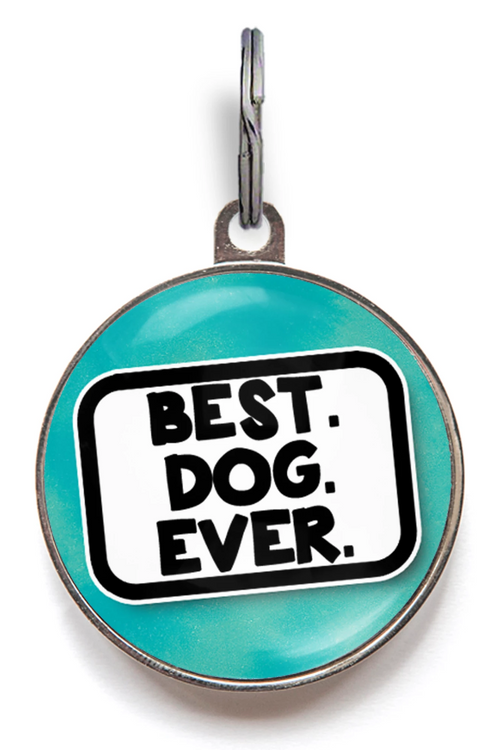 what are the best dog id tags