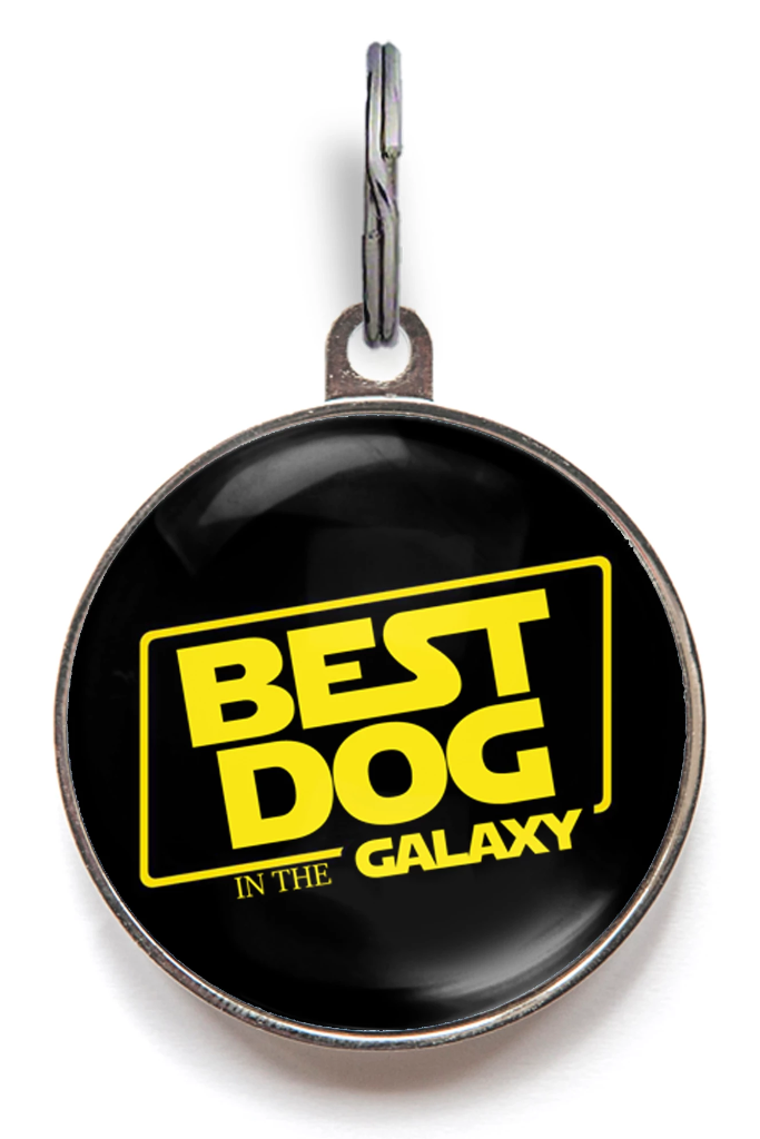 what are the best dog id tags