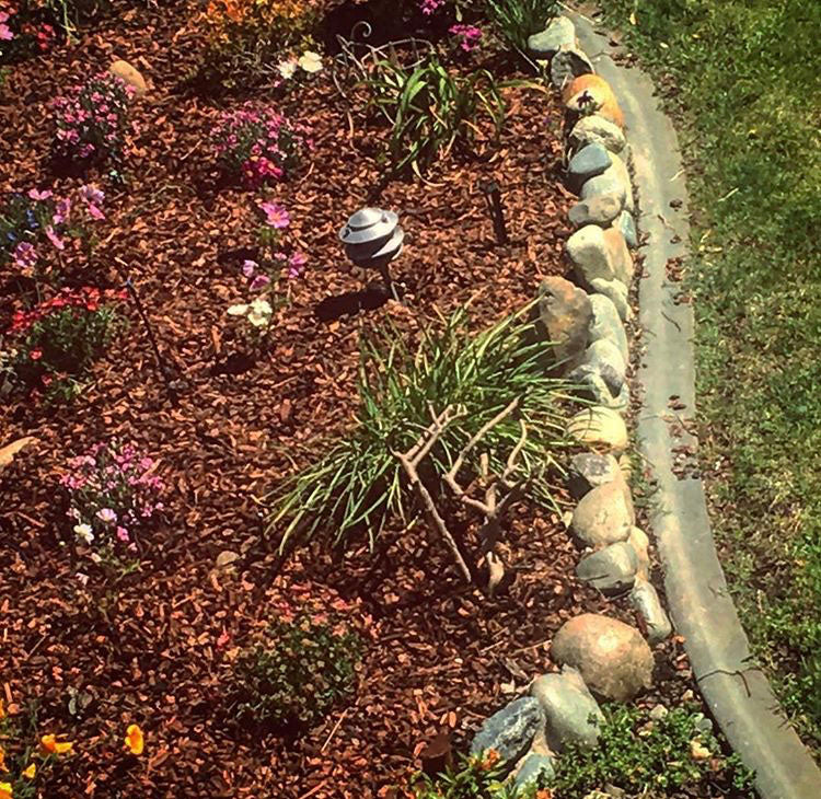 Man performing landscaping work