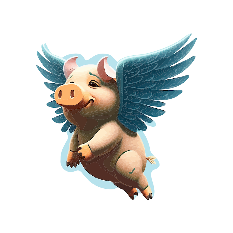 Flying Pig #1
